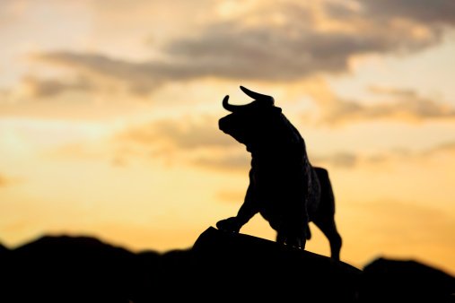 Bull on the hill